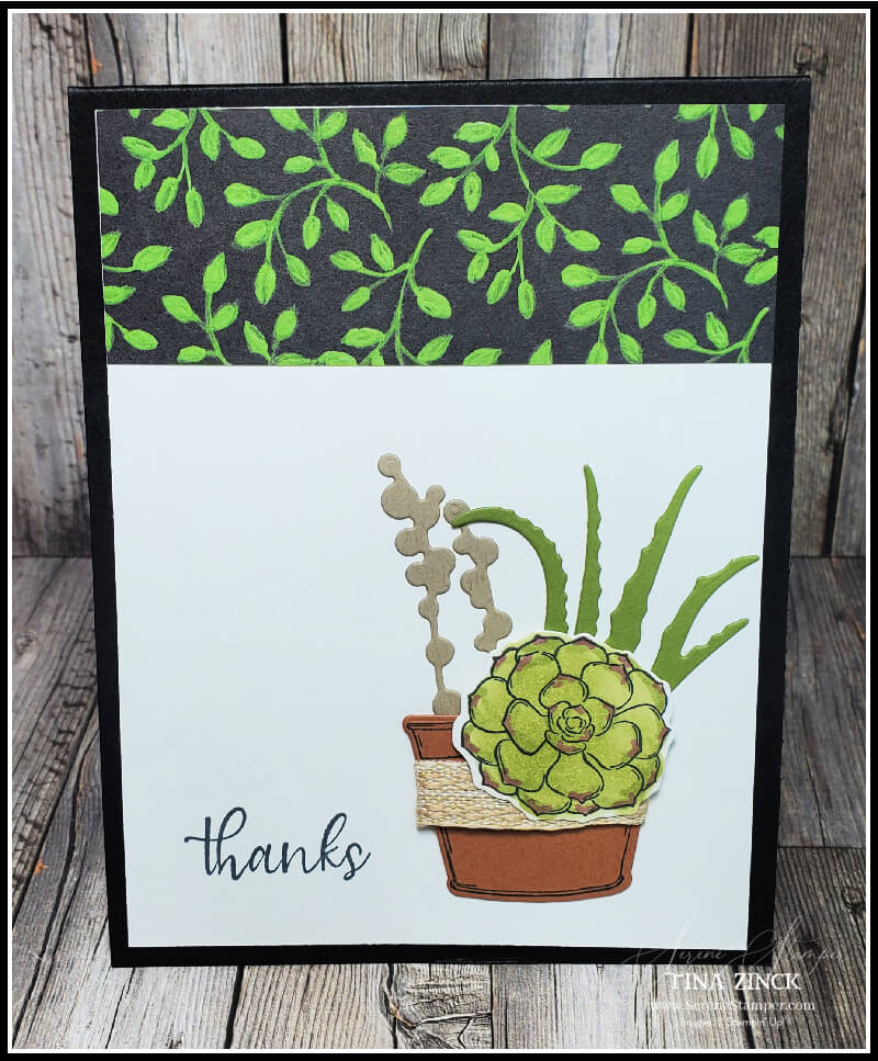 Simply Succulents Bundle - Tina Zinck, Stampin' Up! Demonstrator